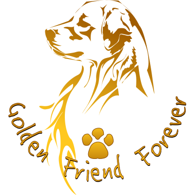 GFF